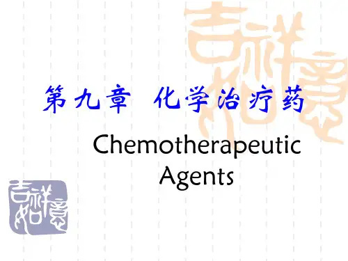 第九章 化学治疗药 2008