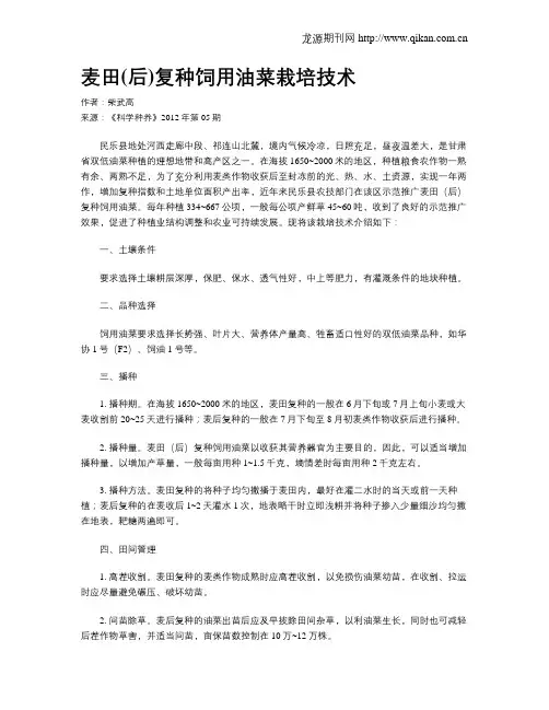 麦田(后)复种饲用油菜栽培技术