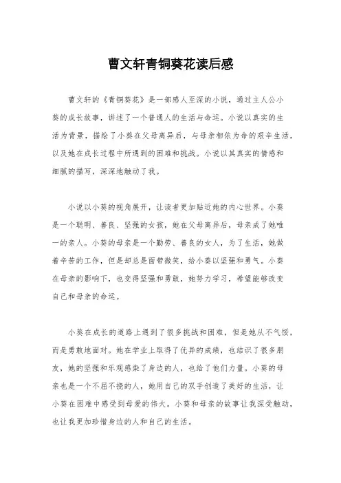 曹文轩青铜葵花读后感