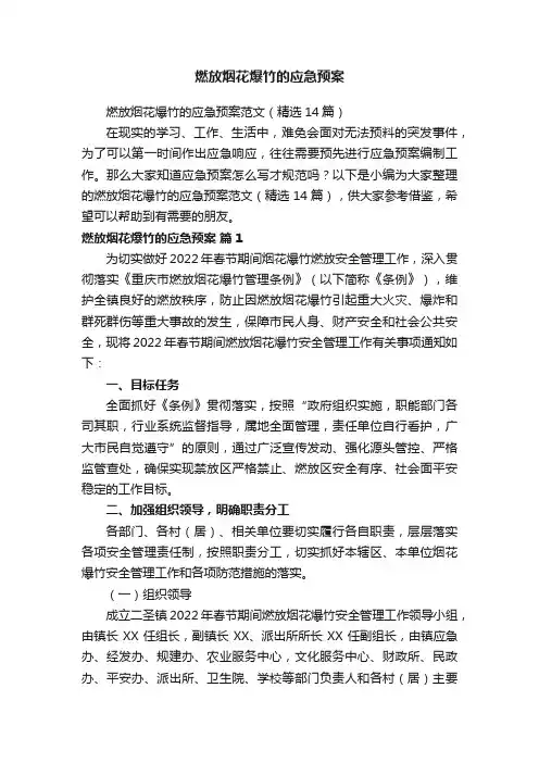 燃放烟花爆竹的应急预案范文（精选14篇）