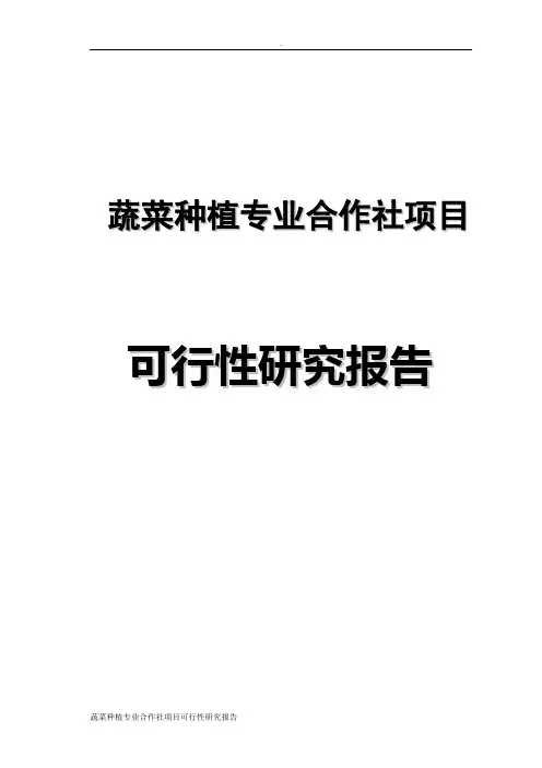 蔬菜种植专业合作社项目可行性研究报告