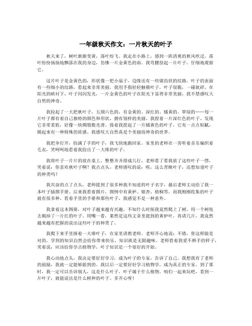 一年级秋天作文：一片秋天的叶子