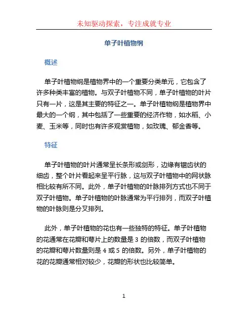单子叶植物纲