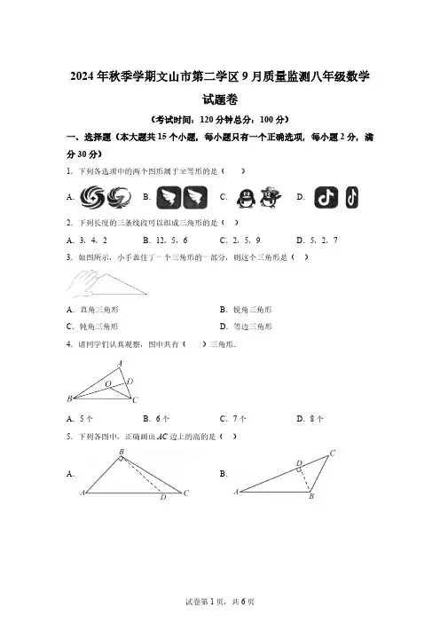 云南省文山壮族苗族自治州文山市2024～2025学年八年级上学期9月月考数学试题[含答案]