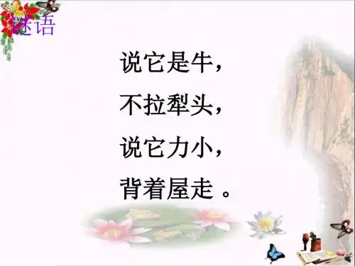 六年级科学上册第2章第1节生物_观察蜗牛 精品优选PPT课件牛津上海版五四制