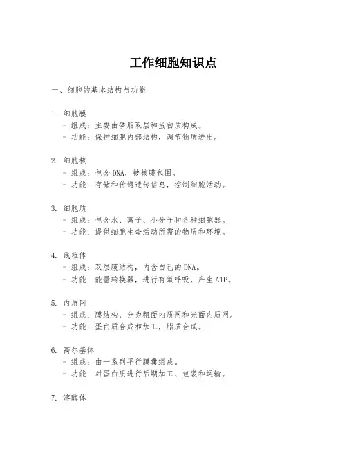 工作细胞知识点
