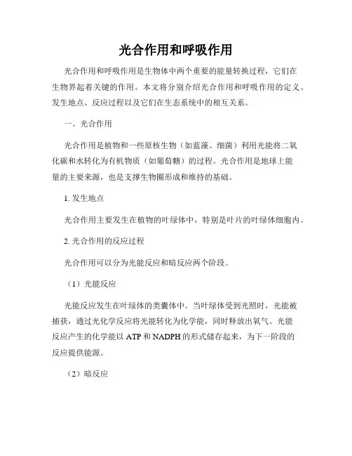 光合作用和呼吸作用