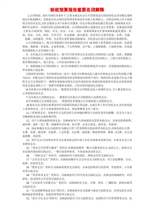 财政预算报告重要名词解释