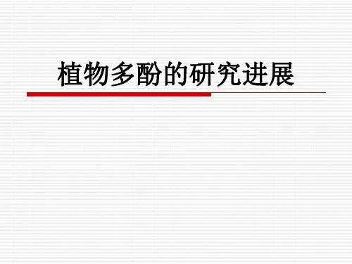 植物多酚的研究进展