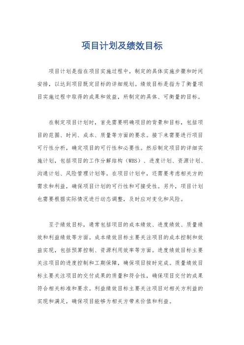 项目计划及绩效目标