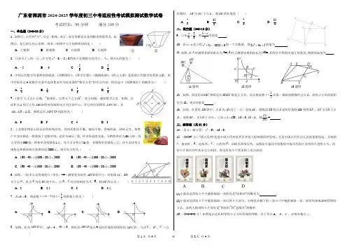 2025届广东深圳中考适应性考试模拟测试数学试卷+答案