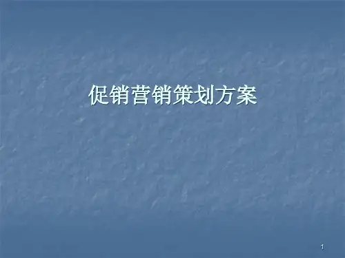 促销营销策划方案ppt课件