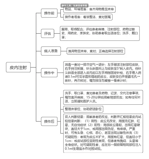 操作流程类 简洁模板思维导图分享