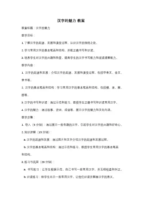 汉字的魅力 教案