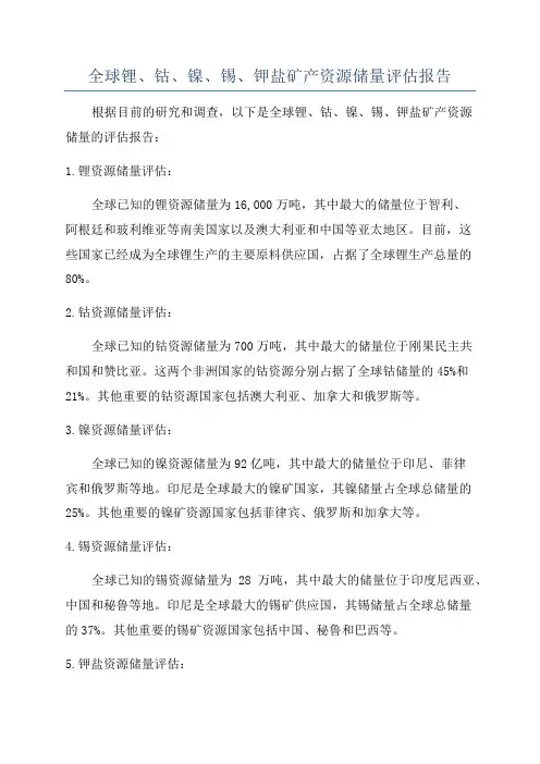全球锂、钴、镍、锡、钾盐矿产资源储量评估报告