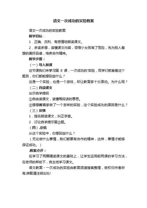 语文一次成功的实验教案