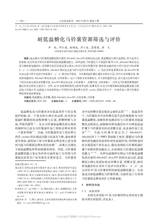 耐低温糖化马铃薯资源筛选与评价