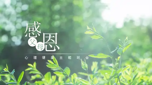高中感恩父母主题班会课件(共27张PPT)