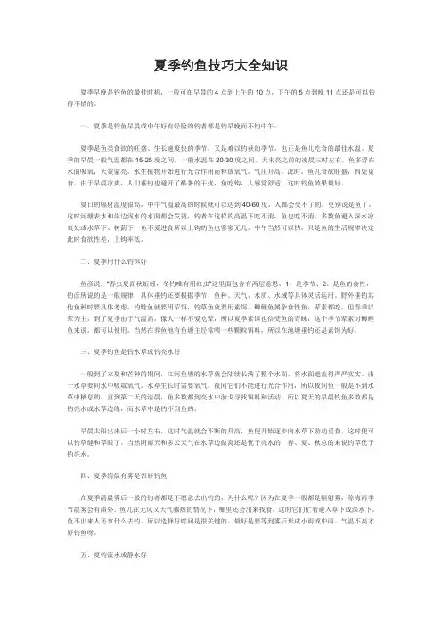 四海钓鱼,夏季钓鱼技巧大全知识