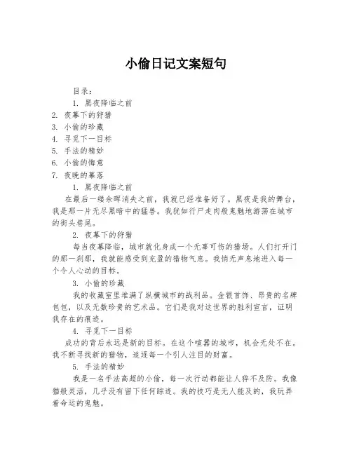 小偷日记文案短句