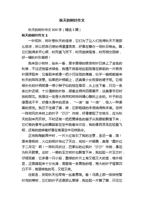 秋天的树叶作文800字(精选3篇)