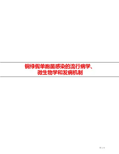 铜绿假单胞菌感染的发病机制、微生物学和流行病学