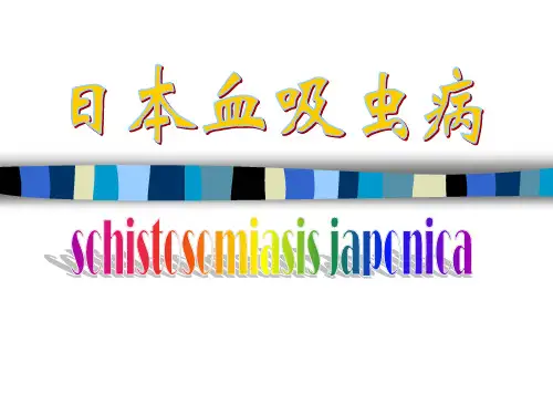 日本血吸虫