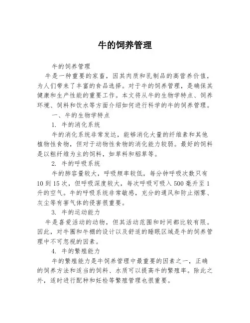 牛的饲养管理