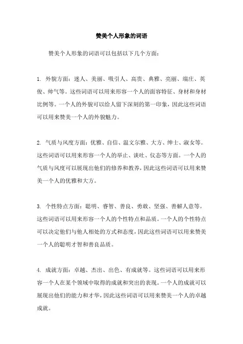 赞美个人形象的词语