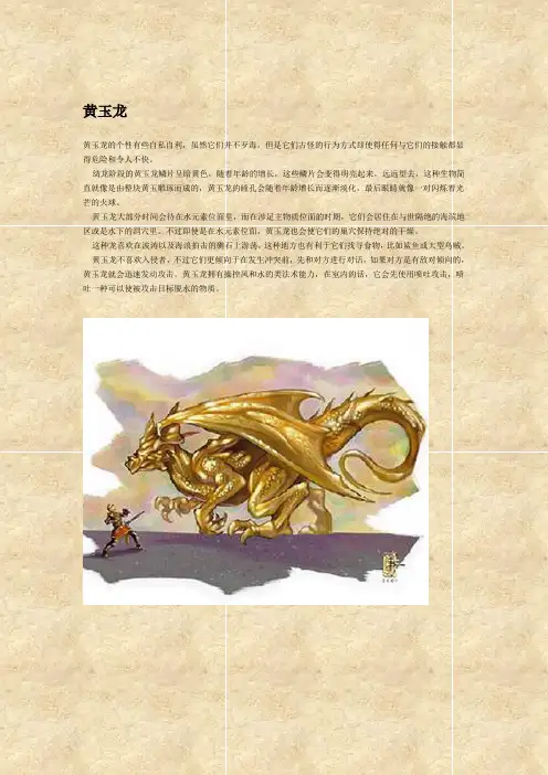 种族——龙