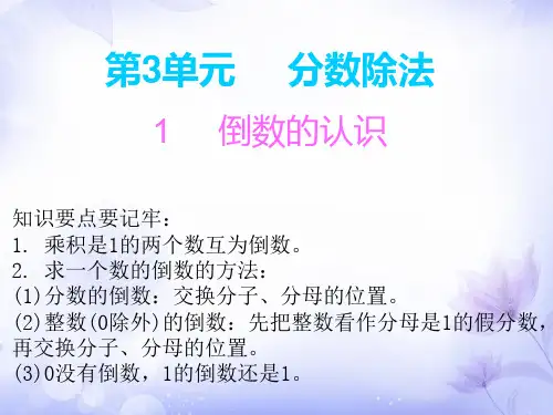 人教版数学六上分数除法复习课件(共23张PPT)