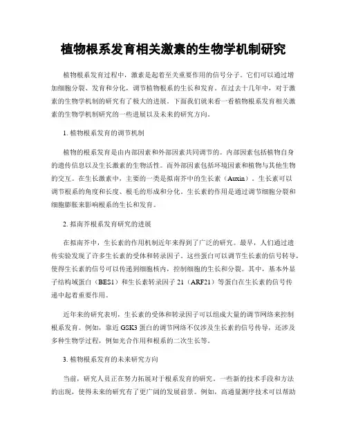 植物根系发育相关激素的生物学机制研究
