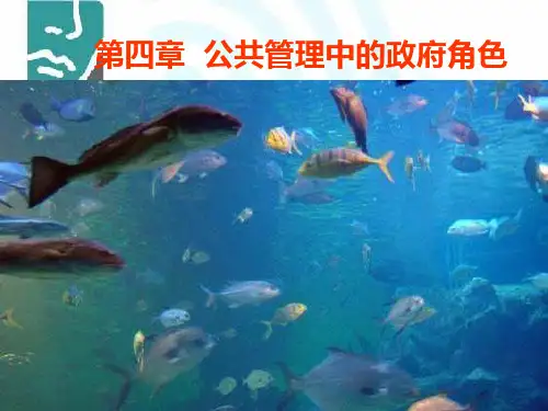 第四章 公共管理中的政府角色
