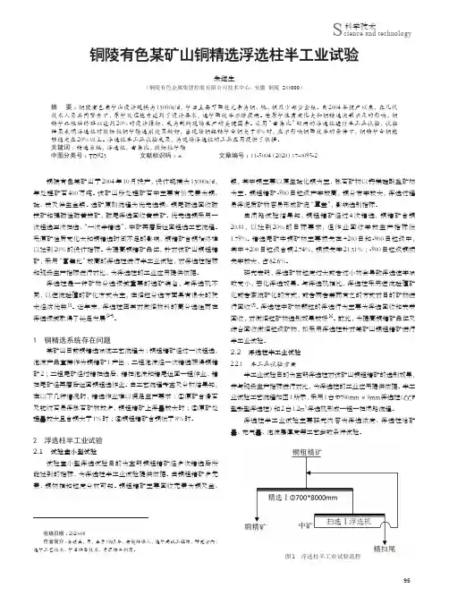 铜陵有色某矿山铜精选浮选柱半工业试验