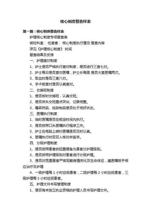核心制度督查样表