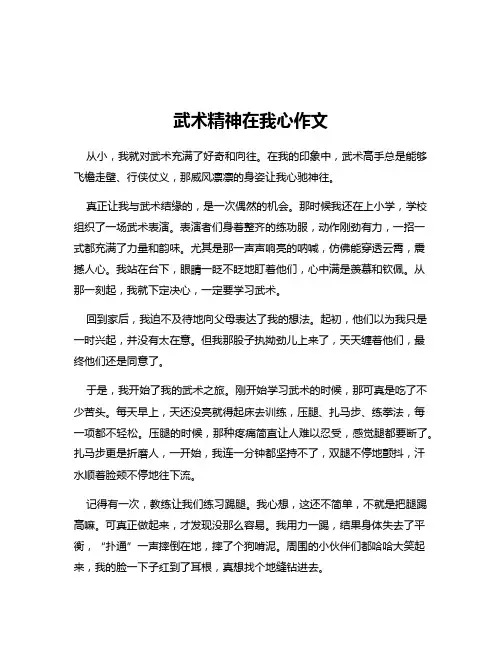 武术精神在我心作文