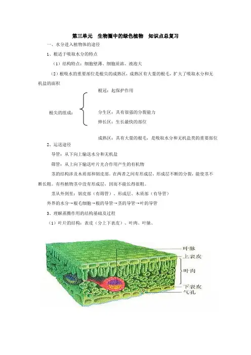 2023年第三单元生物圈中的绿色植物知识点总复习学生用