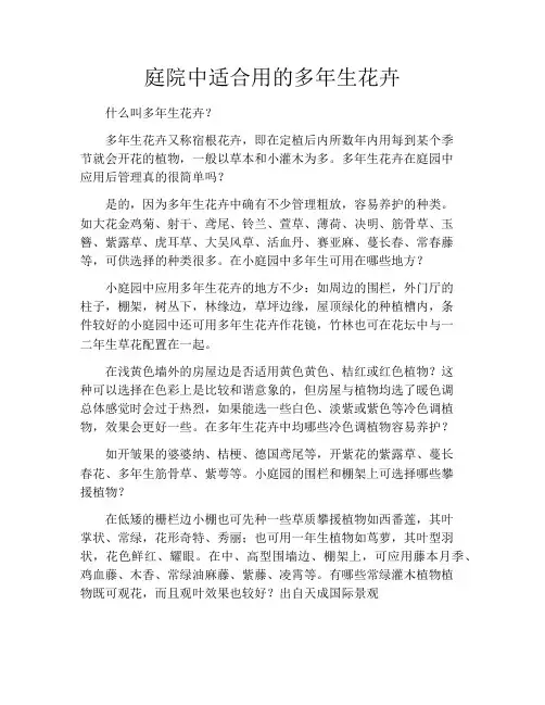 庭院中适合用的多年生花卉