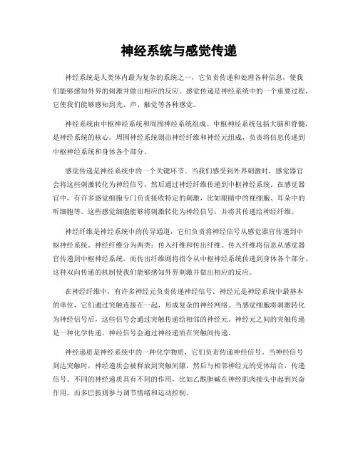 神经系统与感觉传递