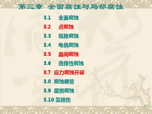 材料腐蚀与防护第四章金属在各种环境中的腐蚀
