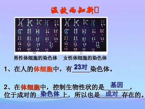 性状遗传有一定的规律性PPT课件2021优秀课件