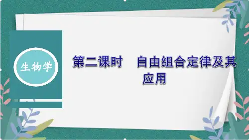 1.2孟德尔从两对相对性状的杂交实验中总结出自由组合定律第二课时课件高一下学期生物浙科版必修2