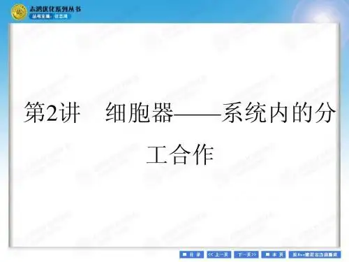 第2讲 细胞器——系统内的分工合作