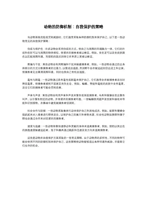 动物的防御机制：自我保护的策略