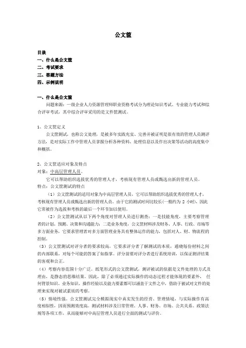 公文筐指导