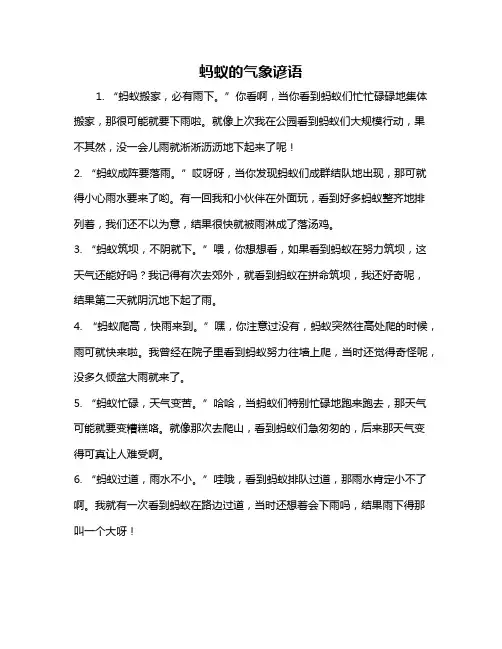 蚂蚁的气象谚语