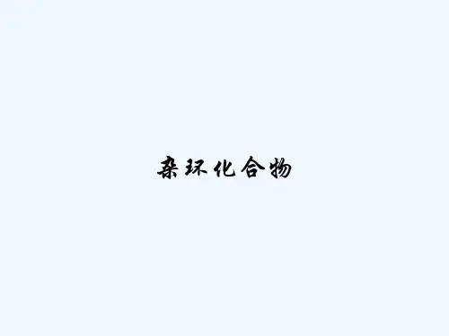 杂环化合物 PPT