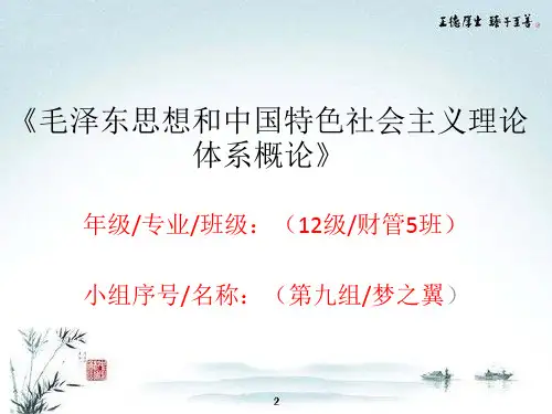 毛概实践课程—开题报告PPT