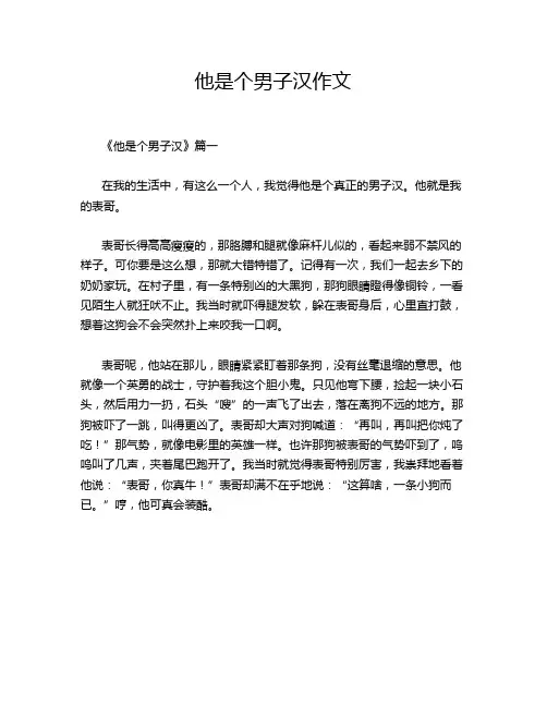 他是个男子汉作文