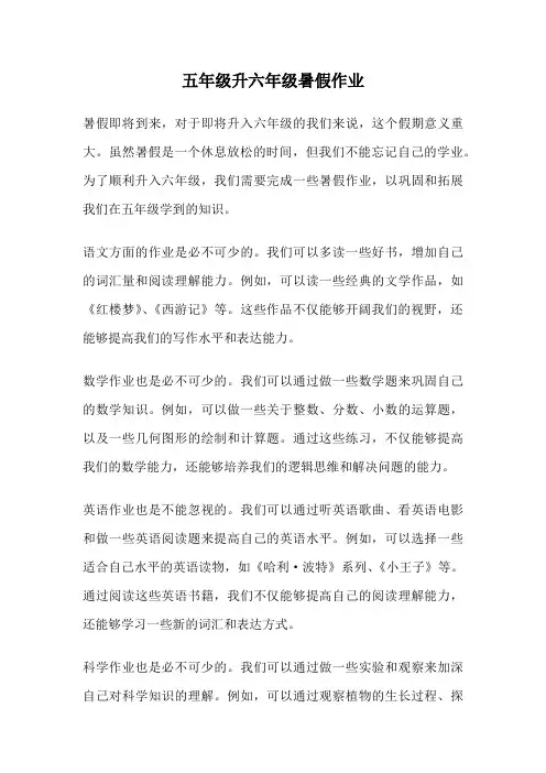 五年级升六年级暑假作业